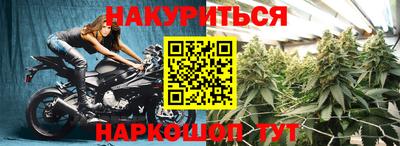 сатива Рязань