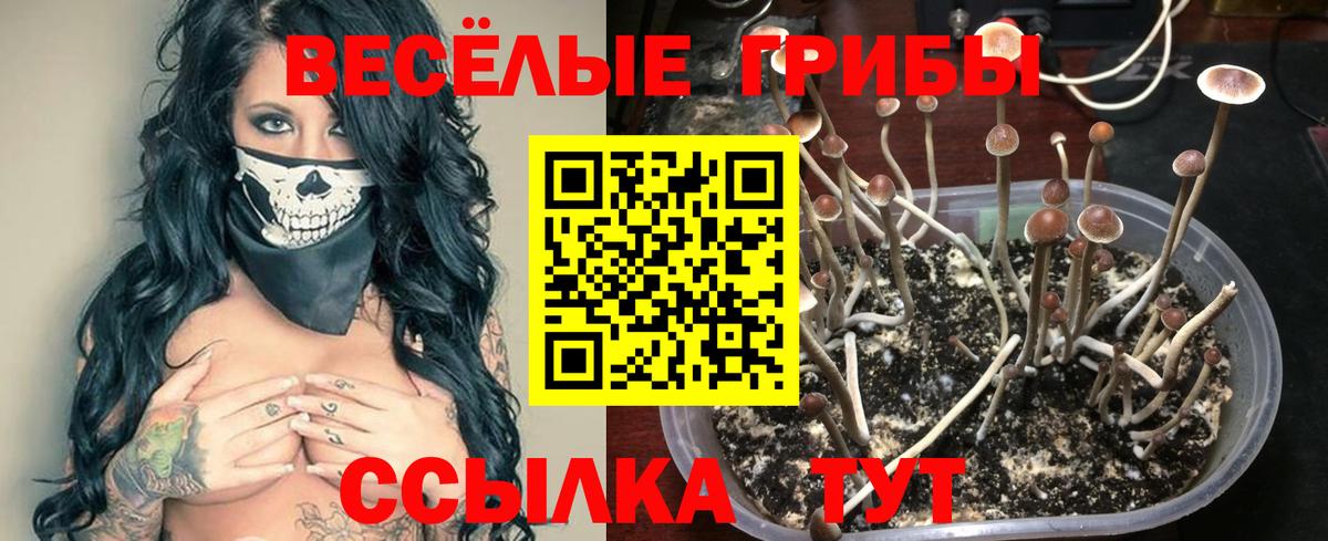 Строитель  Галлюциногенные грибы GOLDEN TEACHER  сколько стоит  Вход с VPN  Псилоцибиновые грибы прущие грибы 