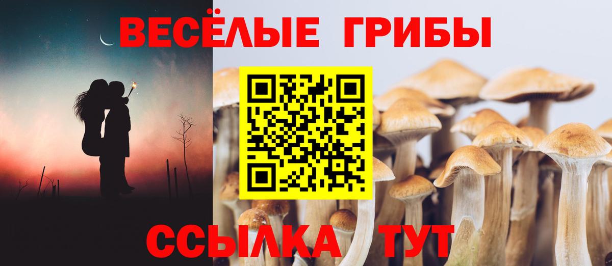Псилоцибиновые грибы прущие грибы Строитель